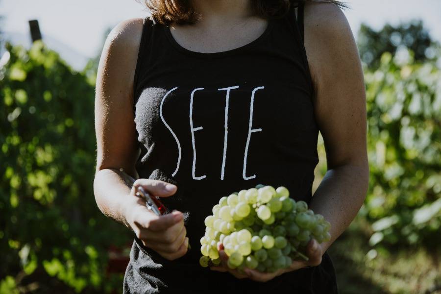 Degustazione di Vini Sete e le conserve Manaide con la proiezione del doc La Palamita è nu missile